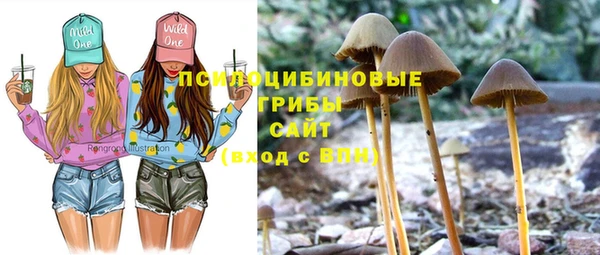 кокаин Алексеевка