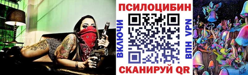 Псилоцибиновые грибы прущие грибы Цоци-Юрт